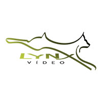 Lynx Video